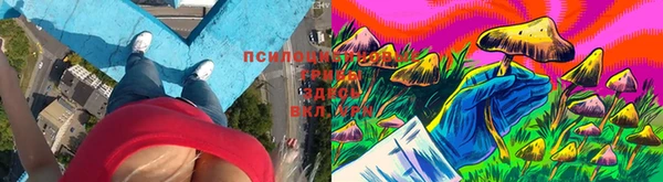 кокаин колумбия Няндома