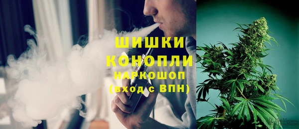 твердый Гусев
