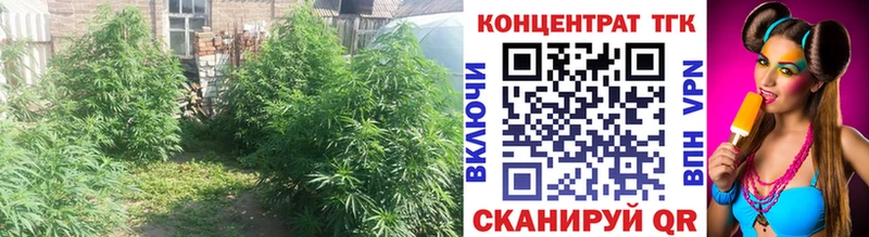 Дистиллят ТГК THC oil  цена   Севск 